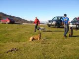 Exhibici&oacute;n de la Unidad Canina de Rescate