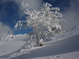 Sierra de Pe&ntilde;a Mayor