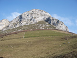 Pica Pe&ntilde;amellera