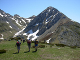La Polinosa