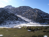 Valdepino