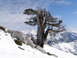 Vista del Cornión