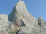 uRRIELLU