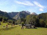 Brañagallones