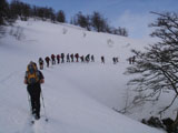 Caminando entre Nieve