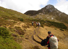Camino del Cornon