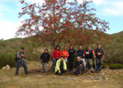 Bajo el arbol
