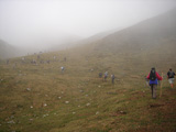 Ruta Prau Albo