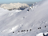 Nieve
