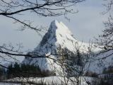 Nieve