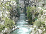 El cares