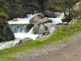 Furia